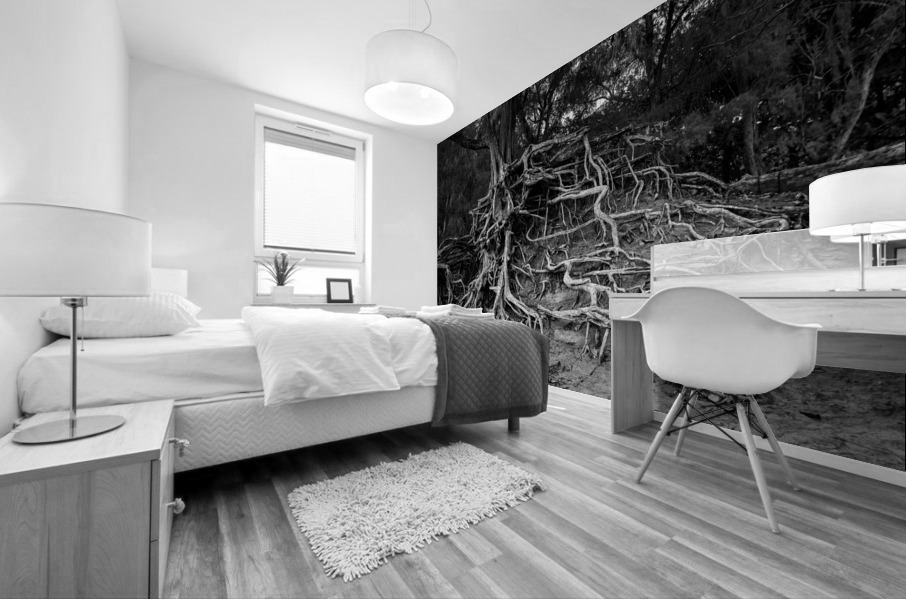 Storm erosion on tree roots at Kee beach Mural print