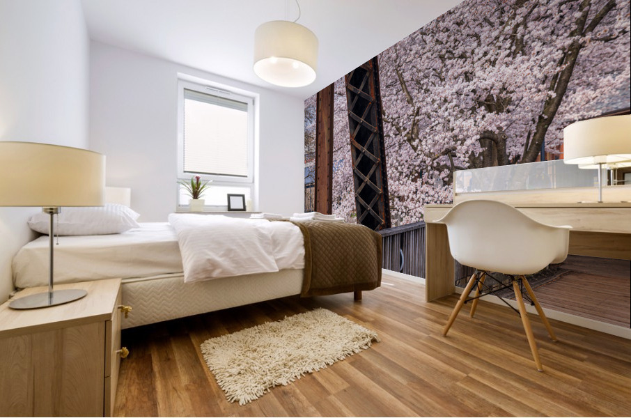 Steel girder bridge carries the bike walking trail over Deckers  Mural print