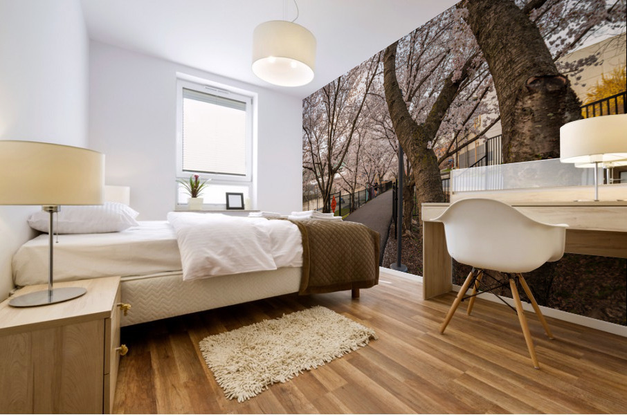 Jogger running on the bike walking trail over Deckers Creek Morg Mural print