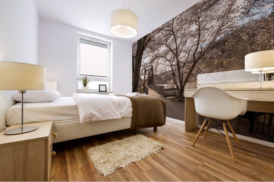 Steel girder bridge carries the bike walking trail over Deckers  Mural print