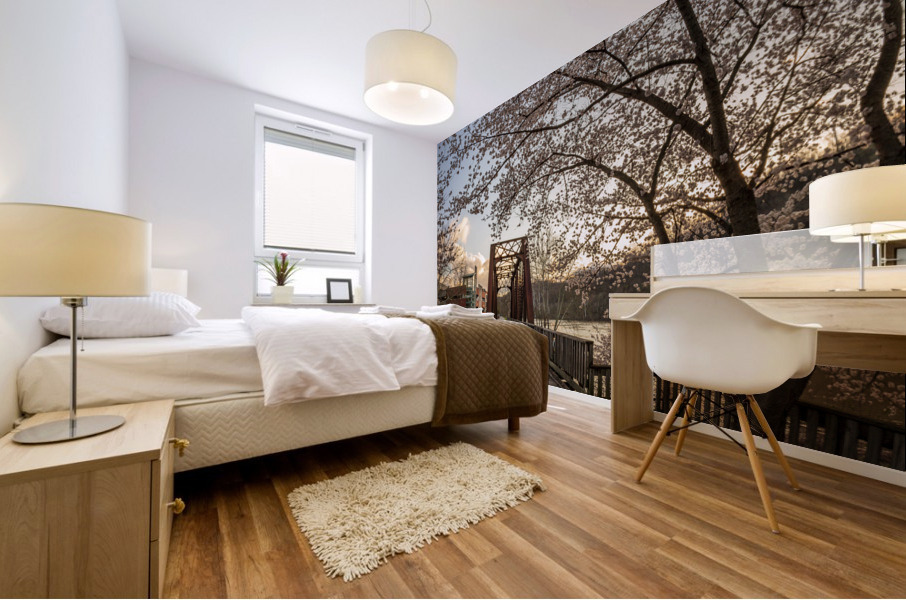 Steel girder bridge carries the bike walking trail over Deckers  Mural print