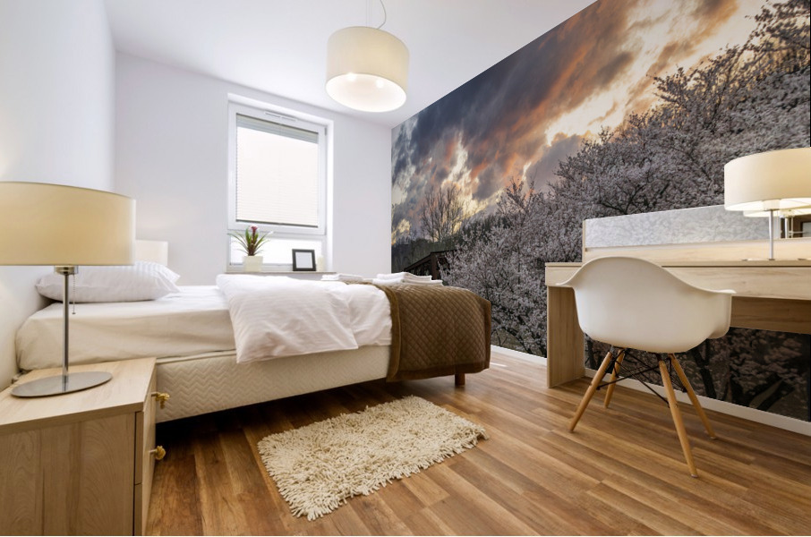 Steel girder bridge carries the bike walking trail over Deckers  Mural print