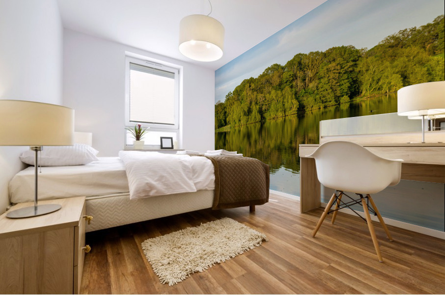 View across the Mere to a reflection of distant trees in Ellesme Mural print