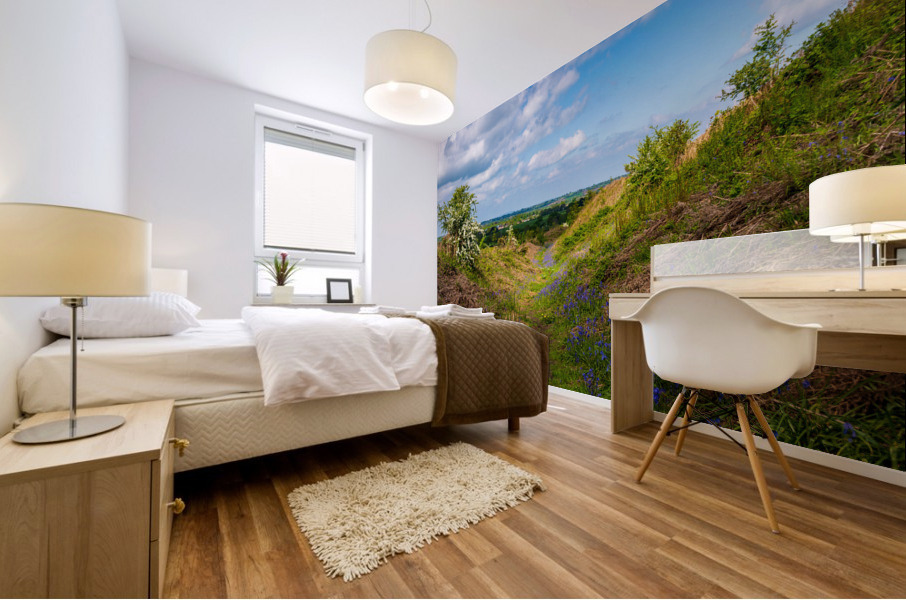 Bluebells by the path on Old Oswestry hill fort in Shropshire Mural print