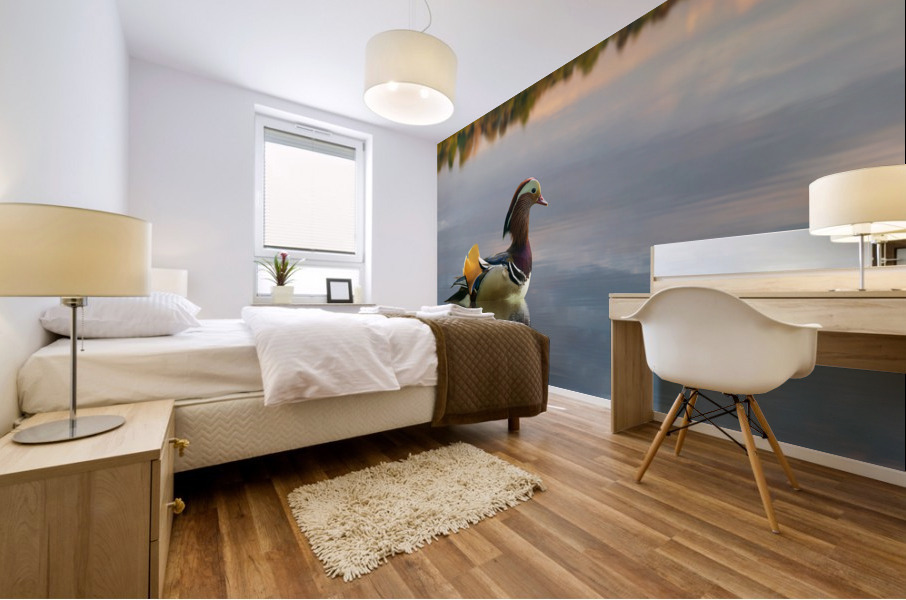 Mandarin duck floats on Ellesmere Mere to a clear reflection of  Mural print