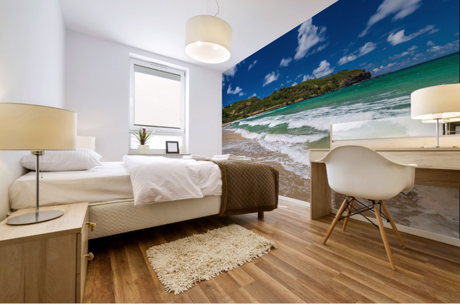 View along Kahili or Rock Quarry beach on north coast Kauai Mural print