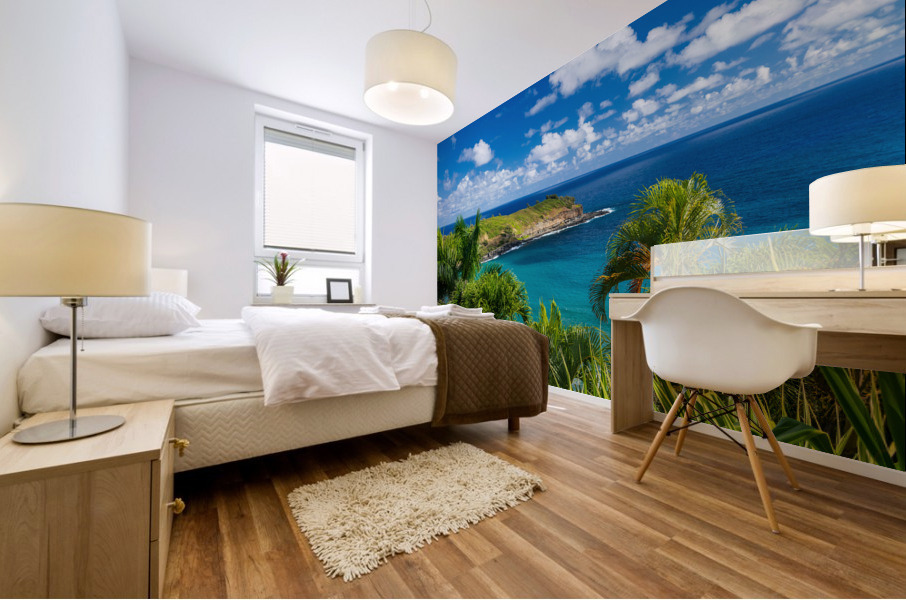 Mokolea point and Kahili beach framed by palm trees Kauai Impression murale
