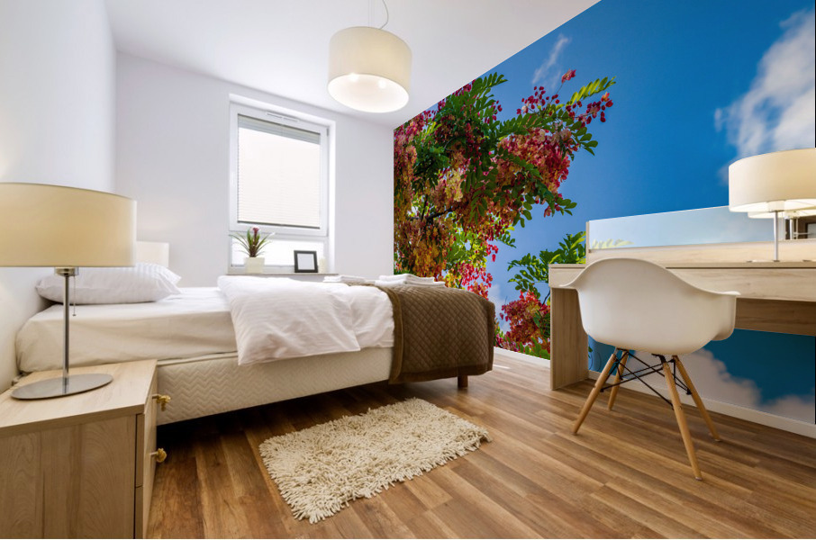 Gorgeous rainbow shower tree blossoms against blue sky Mural print