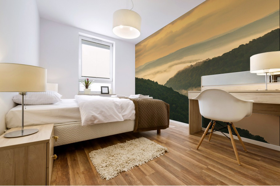 Mist swirling over Cheat River gorge at sunrise near Raven Rock Impression murale