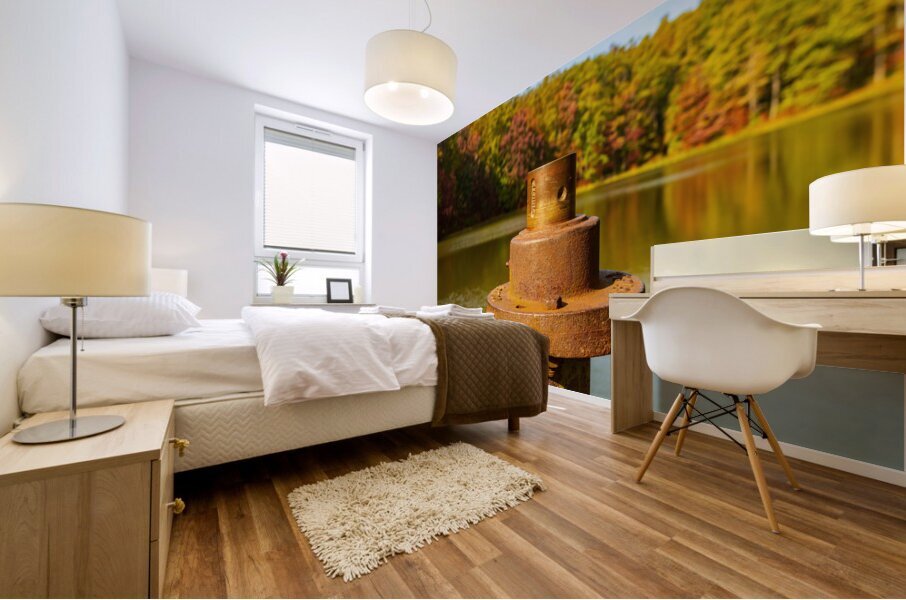 Detail of rusty metal pipe with fall leaves in Coopers Rock in W Impression murale