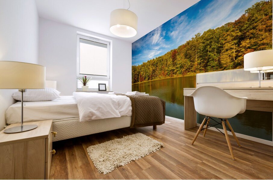 Fall leaves surround reservoir in Coopers Rock State Forest in W Impression murale