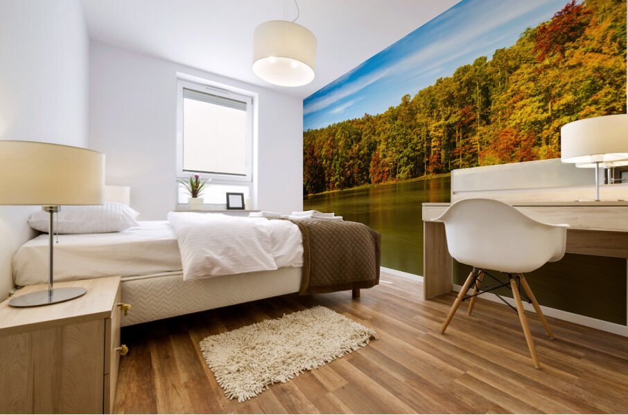 Fall leaves surround reservoir in Coopers Rock State Forest in W Impression murale