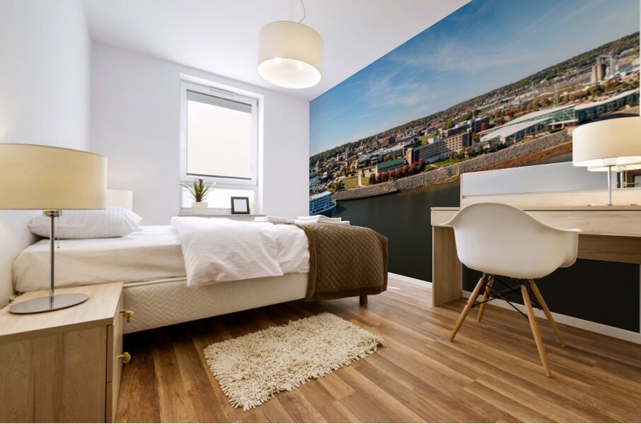 Viking Mississippi river cruise boat docked in Dubuque Mural print