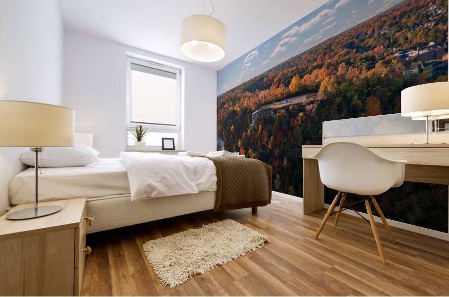 Lovers Leap overlook in Hannibal Missouri in fall colors Mural print