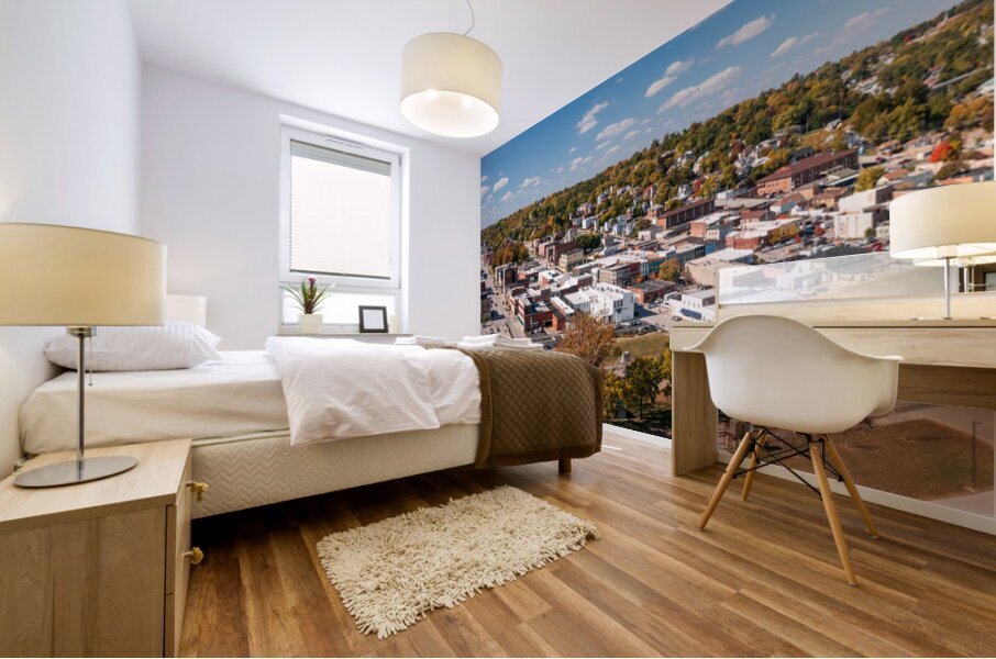 Townscape of Hannibal in Missouri  home of Mark Twain Impression murale