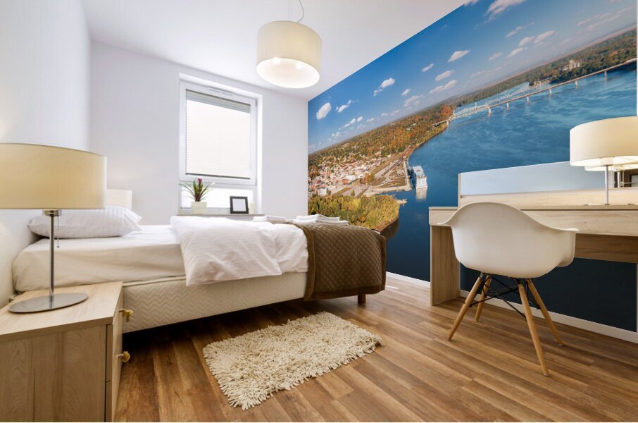 Townscape of Hannibal in Missouri from Lovers Leap overlook Mural print