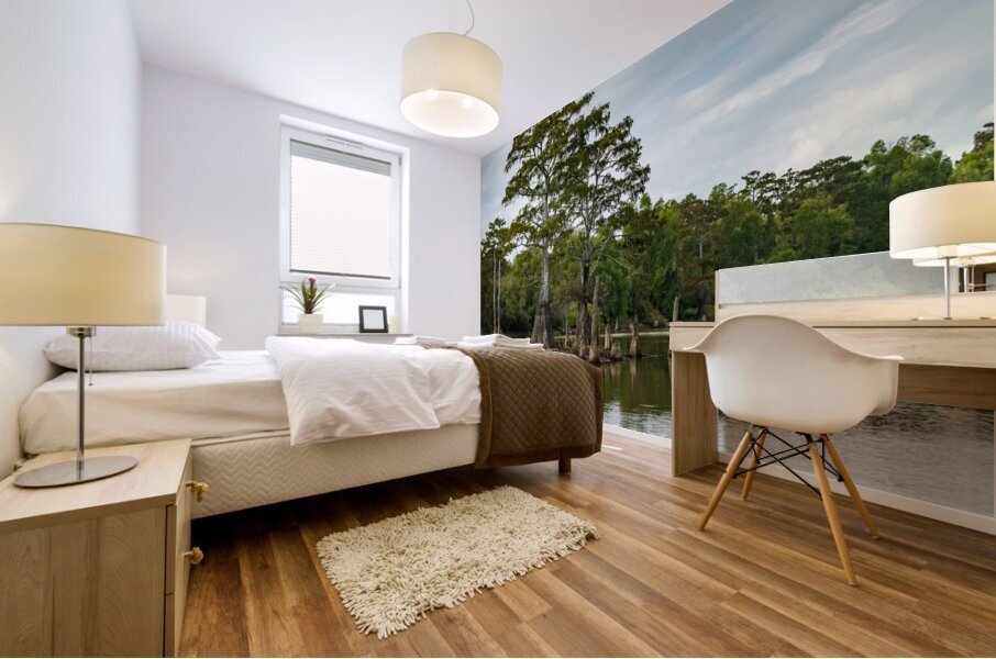 Large bald cypress trees rise out of water in Atchafalaya basin Mural print