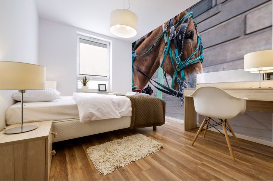 Portrait of horse pulling carriage with black dog on sidewalk Mural print