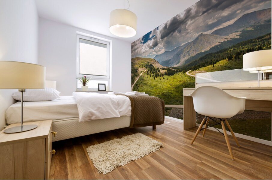 Large horseshoe bend on Cottonwood pass Mural print