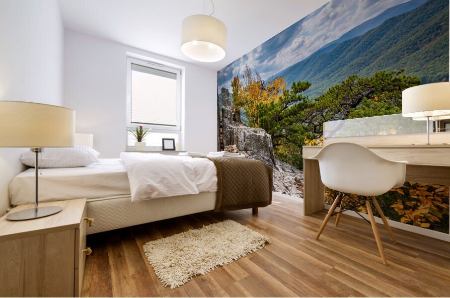 Seneca Rocks in West Virginia Mural print