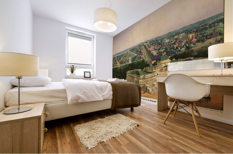 Low-angle birds-eye view of central Washington DC from 1852 Mural print