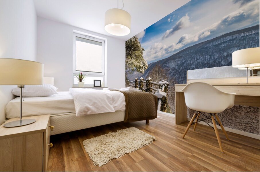 Coopers Rock overlook covered in winter snow near Morgantown Mural print