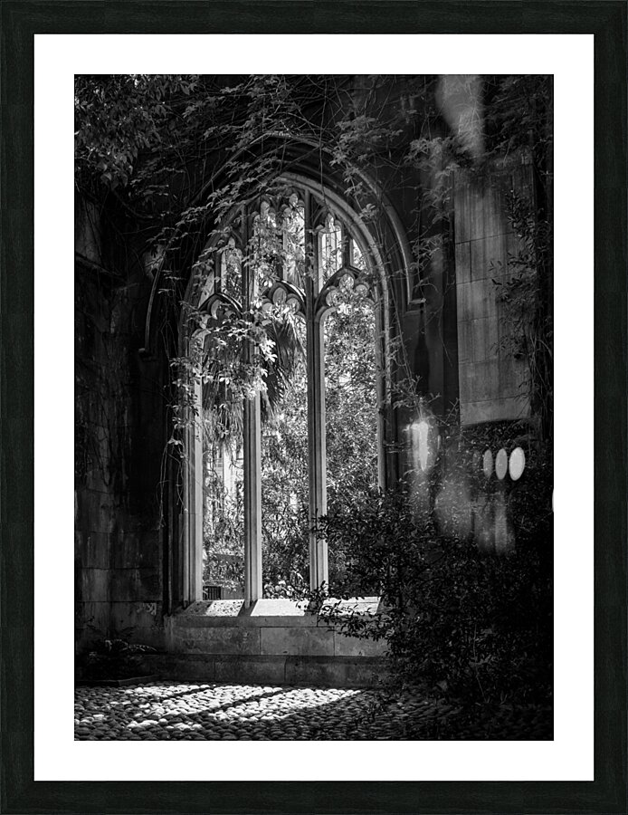 Creeping plants over the empty windows of St Dunstan church Impression et Cadre photo