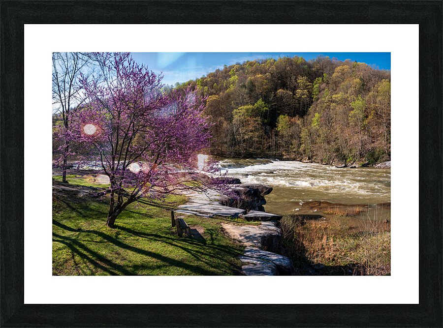 Bench view of Valley Falls on a bright spring morning Picture Frame print