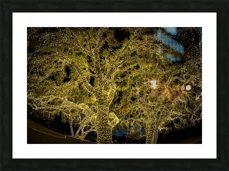 Holiday lights spectacular in Johnson City Texas Picture Frame print