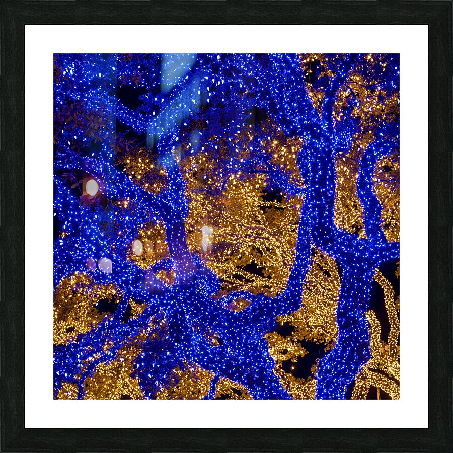 Holiday lights spectacular in Johnson City Texas Picture Frame print