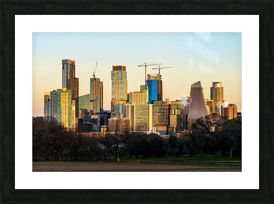 Cityscape of downtown Austin from the west in Zilker park 2025 Picture Frame print