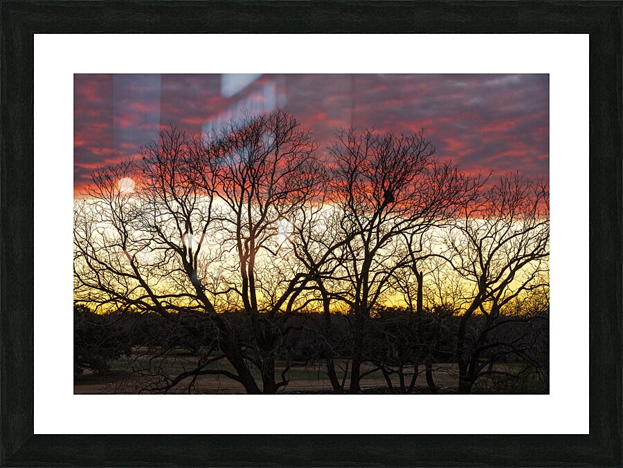 Dramatic sunset over Legacy Hills Park lake with details of tree Picture Frame print