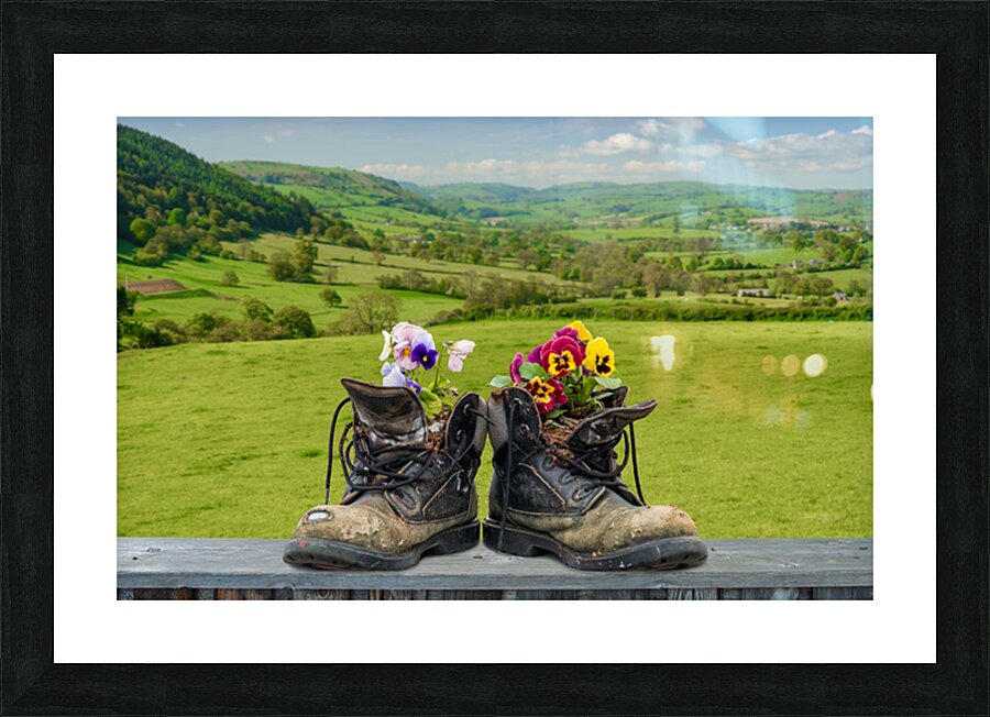 Pair of old hiking boots turned into plant pots with hill walkin Impression et Cadre photo