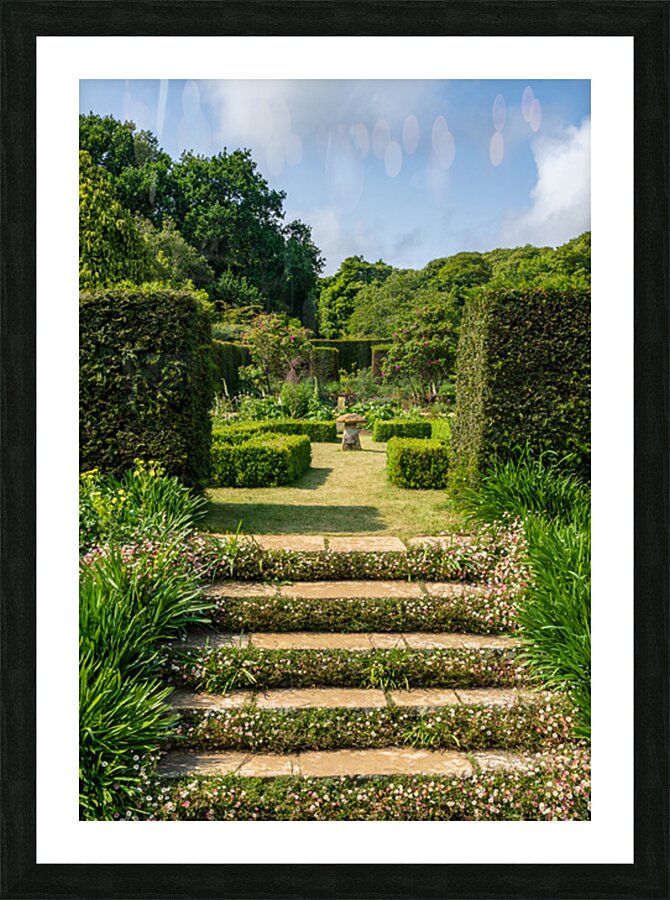 Stone steps into a hedged flower garden on the Isle of Wight Picture Frame print