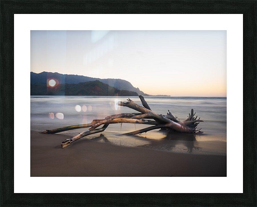 Whisper of the Tide driftwood on Hanalei bay beach at sunrise Picture Frame print
