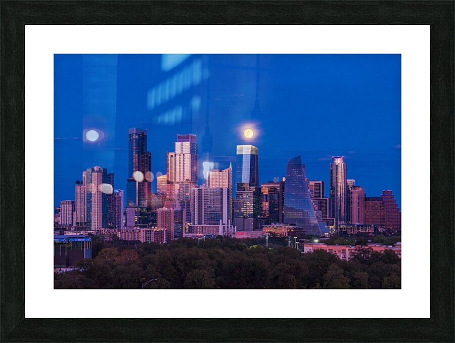Harvest moon over the Austin skyline from Zilker Park Picture Frame print