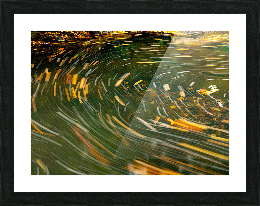 Swirling leaves on Deckers Creek Picture Frame print