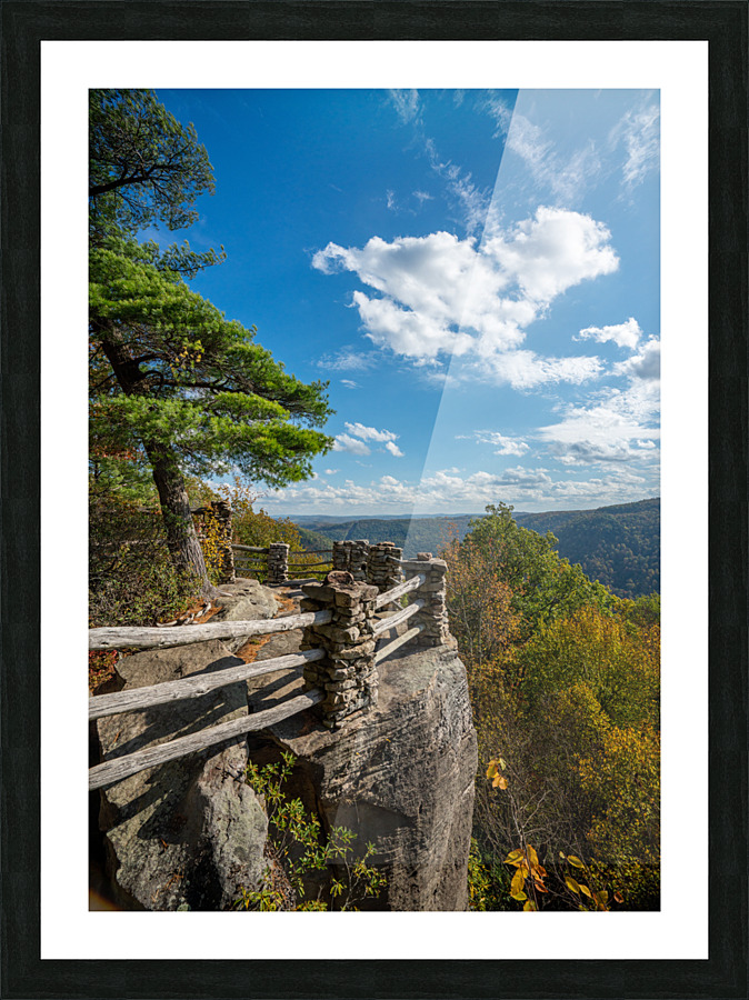 Coopers Rock state park overlook vertical format Picture Frame print