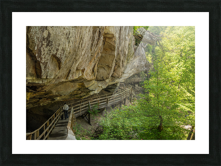 Boardwalk in Audra State Park near Buckhannon in West Virginia Impression et Cadre photo
