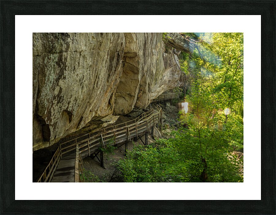 Pathway in Audra State Park near Buckhannon in West Virginia Picture Frame print