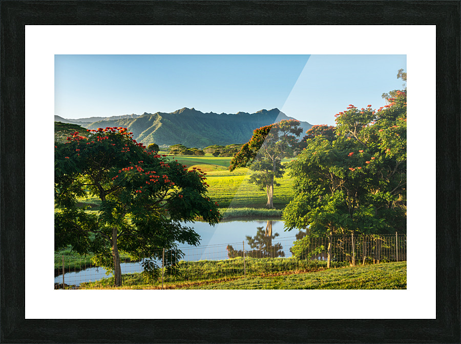 Striking landscape of garden island of Kauai Picture Frame print
