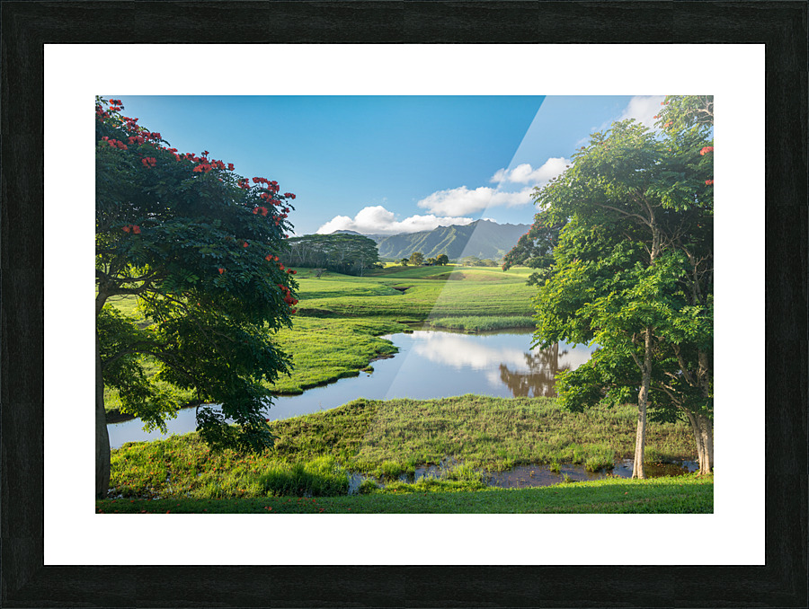 Striking Jurassic landscape on Kauai Picture Frame print