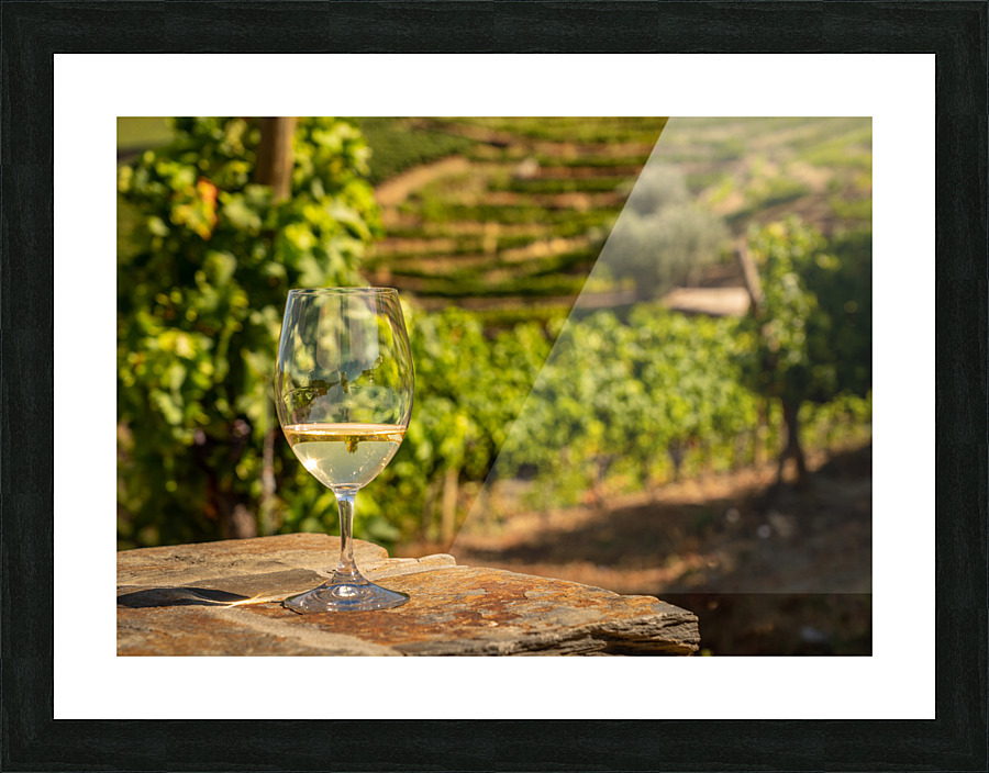 Glass of white wine in vineyard Picture Frame print