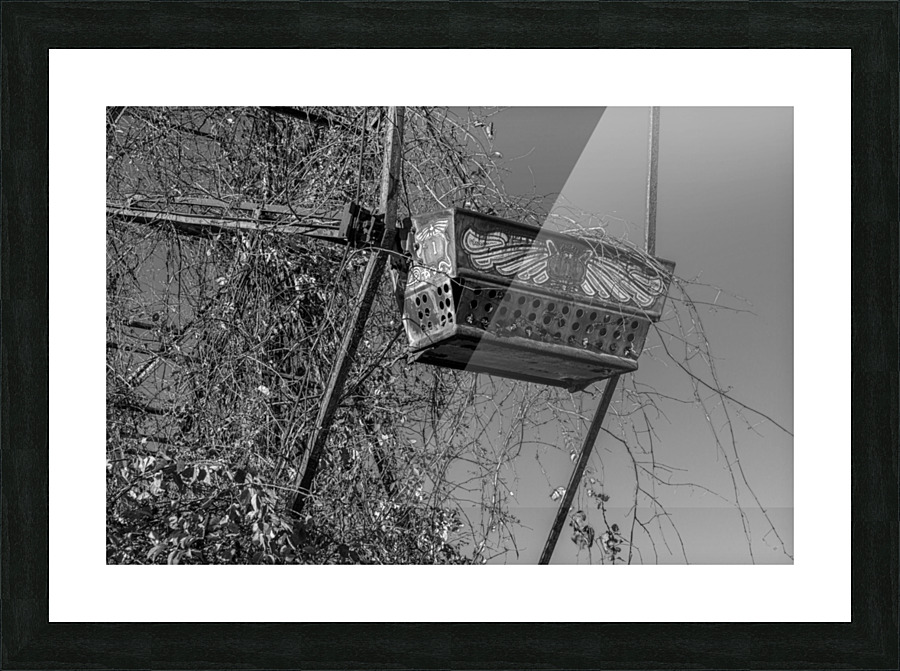 Ferris Wheel ride at abandoned funfair  Picture Frame print