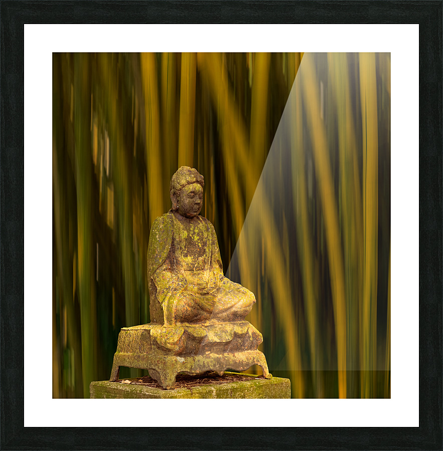 Buddha statue in bamboo forest Impression et Cadre photo