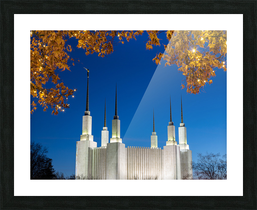 Mormon temple in Washington DC with xmas lights Picture Frame print