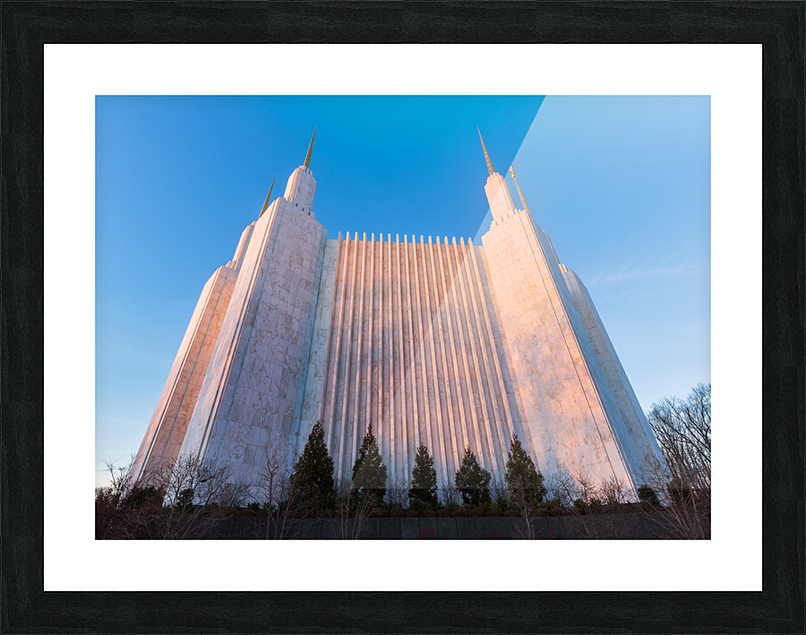 Mormon temple in Washington DC in late winter Picture Frame print