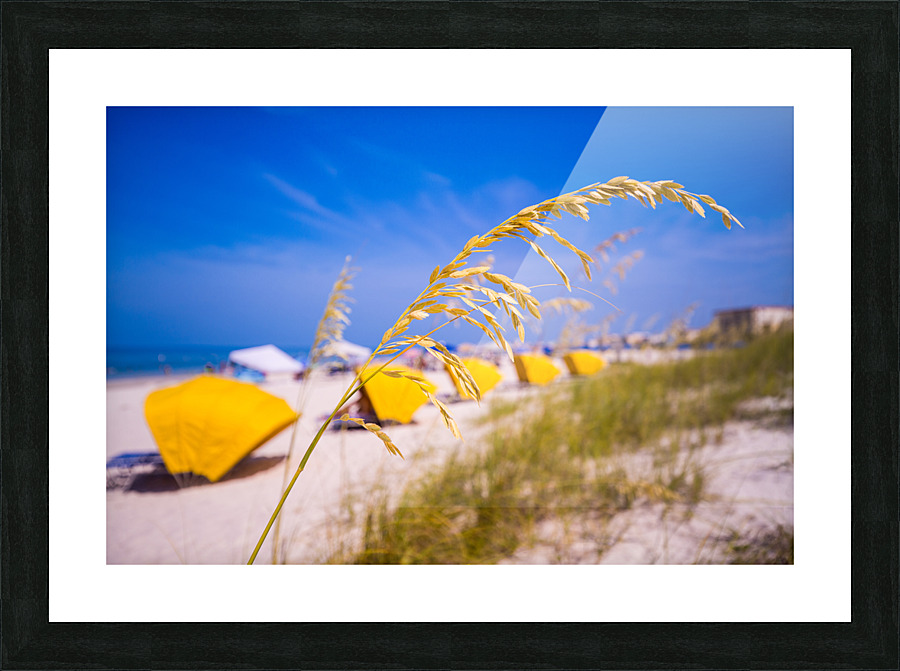 Madiera Beach and sea oats in Florida Impression et Cadre photo