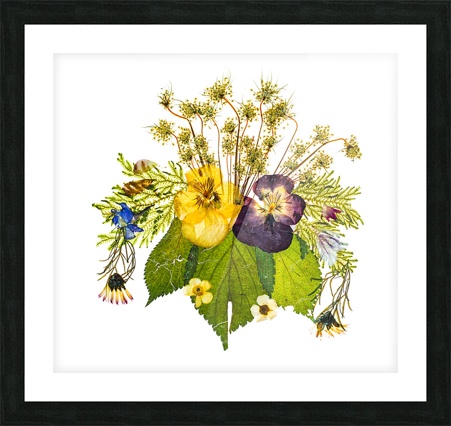 Arrangement of dried pressed flowers Picture Frame print