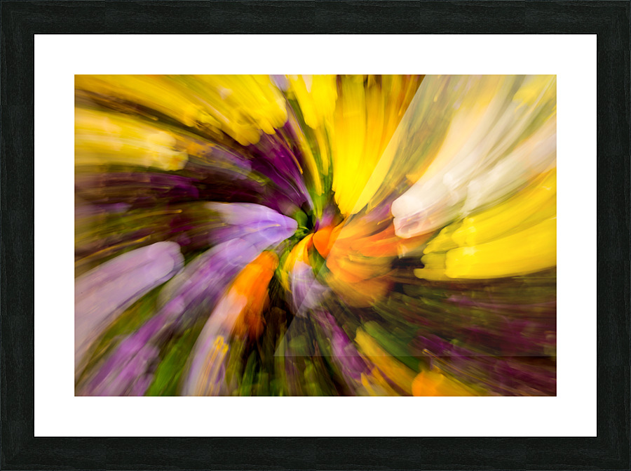 Flower blossoms in curling pattern Picture Frame print